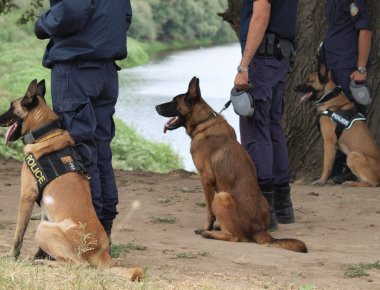 Ξάνθη: Εκπαιδευμένος σκύλος της ΕΛ.ΑΣ. «ξετρύπωσε» συσκευασίες κάνναβης
